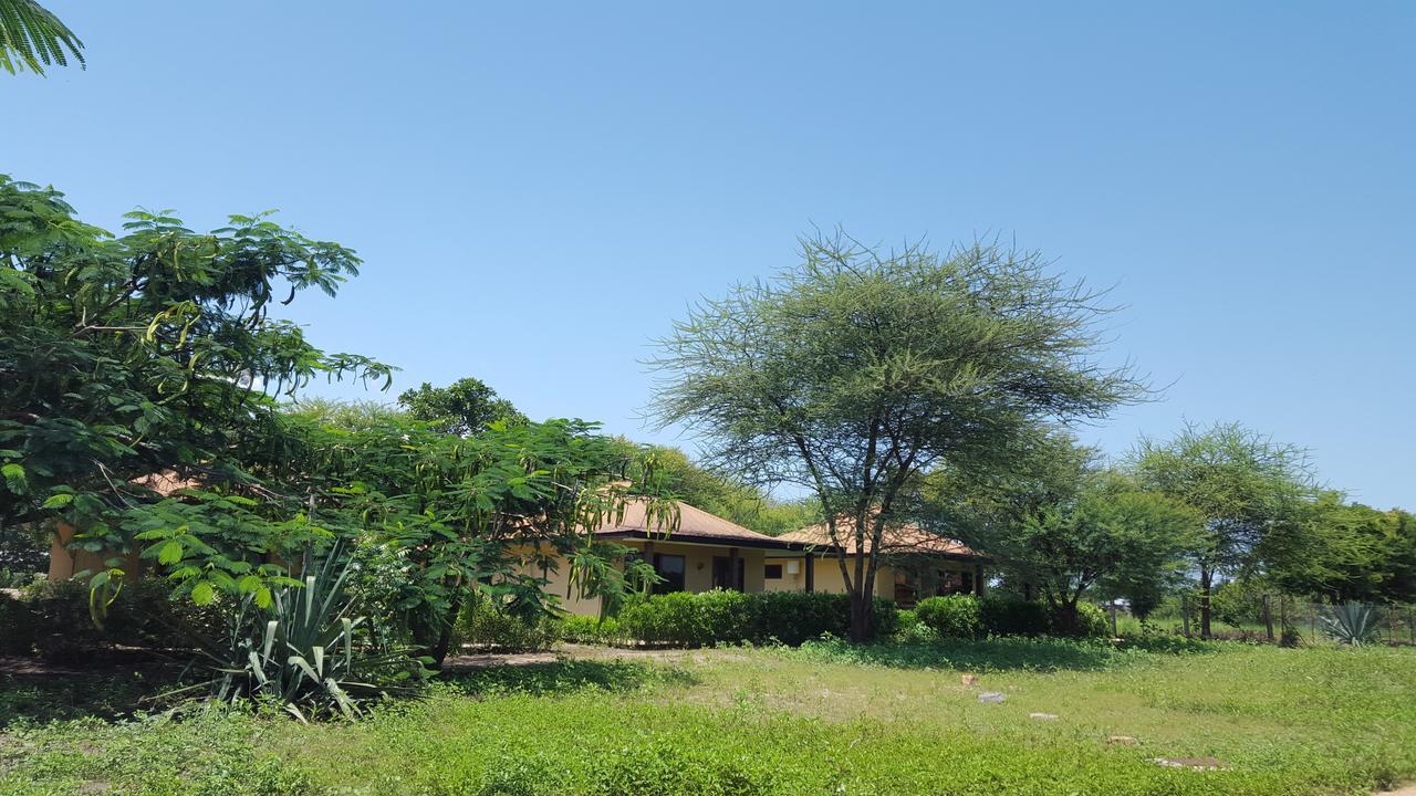 Tan-Swiss Lodge Mikumi Bagian luar foto